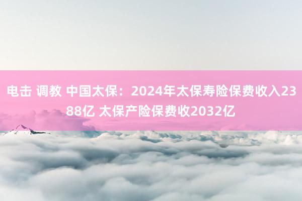 电击 调教 中国太保：2024年太保寿险保费收入2388亿 太保产险保费收2032亿