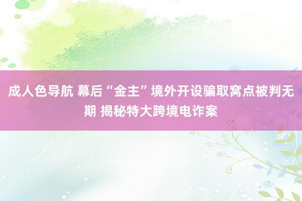 成人色导航 幕后“金主”境外开设骗取窝点被判无期 揭秘特大跨境电诈案