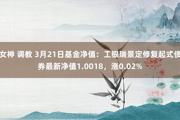 女神 调教 3月21日基金净值：工银瑞景定修复起式债券最新净值1.0018，涨0.02%