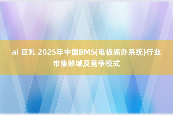 ai 巨乳 2025年中国BMS(电板惩办系统)行业市集畛域及竞争模式