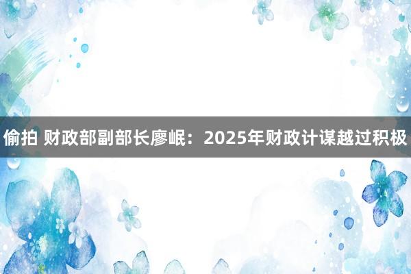 偷拍 财政部副部长廖岷：2025年财政计谋越过积极