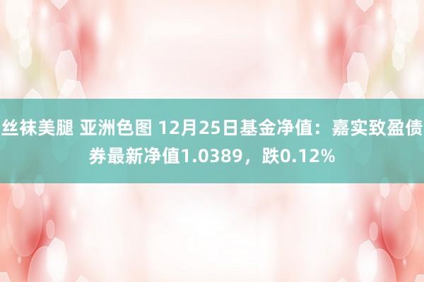 丝袜美腿 亚洲色图 12月25日基金净值：嘉实致盈债券最新净值1.0389，跌0.12%