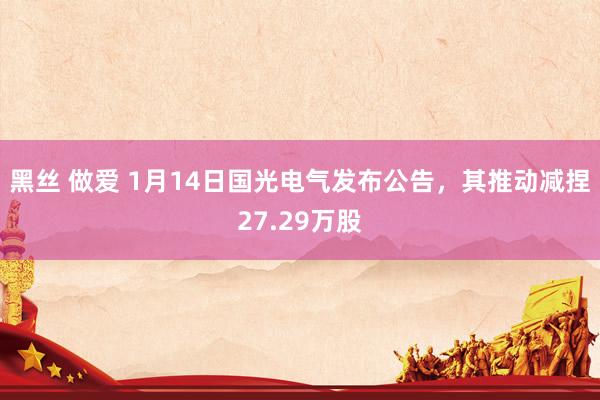 黑丝 做爱 1月14日国光电气发布公告，其推动减捏27.29万股